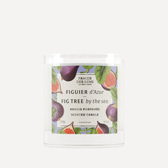 SCENTED CANDLE FIG BY THE SEA