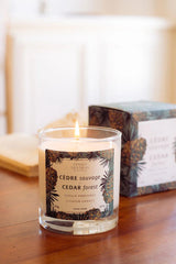 SCENTED CANDLE CEDAR FOREST